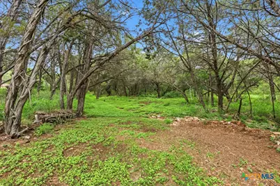 51 Hunters Point Drive, New Braunfels, TX 78132 - Photo 38