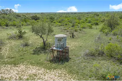 Tbd Cr 104, Pettus, TX 78146 - Photo 8