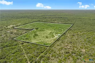Tbd Cr 104, Pettus, TX 78146 - Photo 4