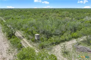 Tbd Cr 104, Pettus, TX 78146 - Photo 22