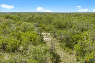 Tbd Cr 104, Pettus, TX 78146 - Photo 10