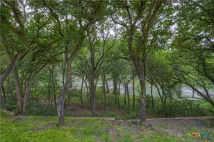 1029 Gruene Rd, New Braunfels, TX 78130 - Photo 36