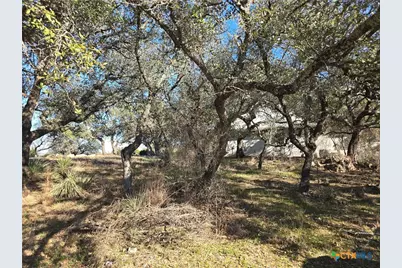 101 Bottoms Up Cove, Horseshoe Bay, TX 78657 - Photo 4