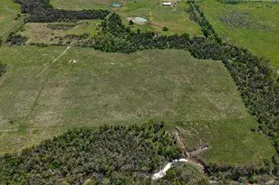 303 Lcr 626, Groesbeck, TX 76642 - Photo 20
