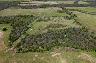 303 Lcr 626, Groesbeck, TX 76642 - Photo 22