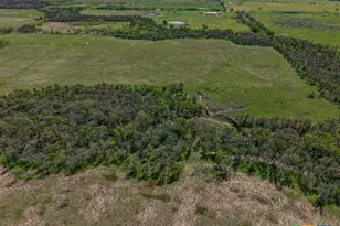 303 Lcr 626, Groesbeck, TX 76642 - Photo 8