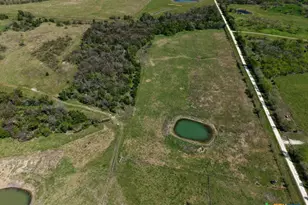 303 Lcr 626, Groesbeck, TX 76642 - Photo 28