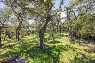 1645 Agarita Dr, Fischer, TX 78623 - Photo 24