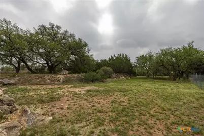 1645 Agarita Drive, Fischer, TX 78623 - Photo 8