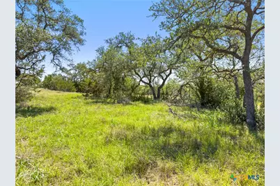 163 N Stallion Estates Drive, Spring Branch, TX 78070 - Photo 6