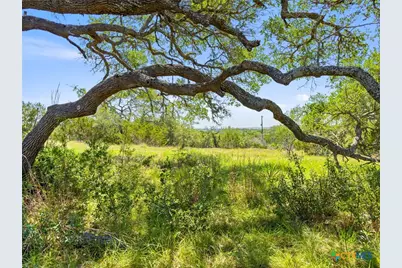 163 N Stallion Estates Drive, Spring Branch, TX 78070 - Photo 4