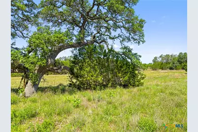 163 N Stallion Estates Drive, Spring Branch, TX 78070 - Photo 2