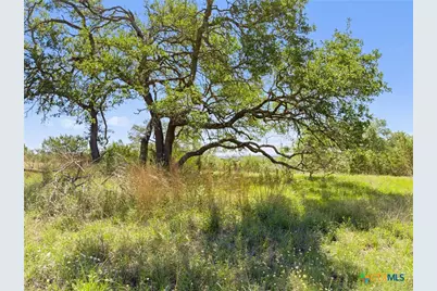 163 N Stallion Estates Drive, Spring Branch, TX 78070 - Photo 14