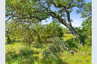 163 N Stallion Estates Drive, Spring Branch, TX 78070 - Photo 10
