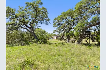 163 N Stallion Estates Drive, Spring Branch, TX 78070 - Photo 16