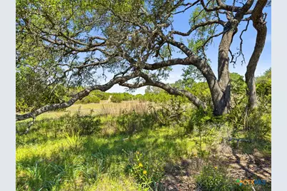 163 N Stallion Estates Drive, Spring Branch, TX 78070 - Photo 8