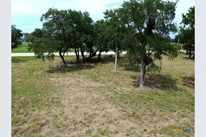 8119 Haley Court, Salado, TX 76571 - Photo 10