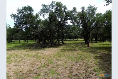 8119 Haley Court, Salado, TX 76571 - Photo 6