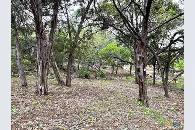 1439 Bonnyview Drive, Canyon Lake, TX 78133 - Photo 18