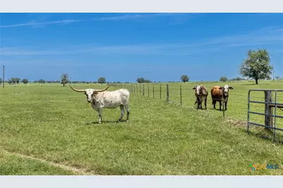 605 Fm 1682, Leesville, TX 78122 - Photo 26