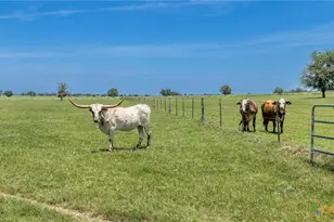 605 Fm 1682, Leesville, TX 78122 - Photo 26
