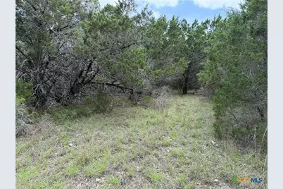 1264 High Hills Drive, Canyon Lake, TX 78133 - Photo 2