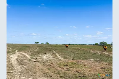 1037 County Road 340, Shiner, TX 77984 - Photo 12