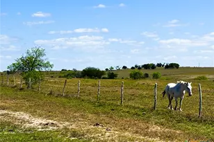 1037 Co Rd 340, Shiner, TX 77984 - Photo 20