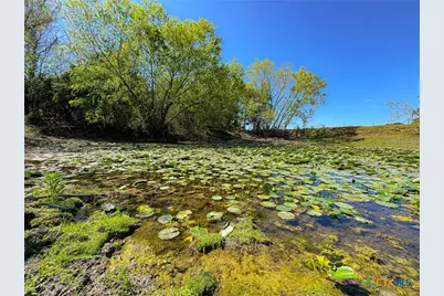 1037 County Road 340, Shiner, TX 77984 - Photo 2