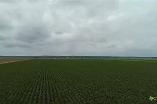 000 Hwy 50, Snook, TX 77845 - Photo 22