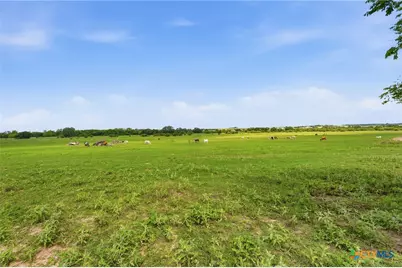 1883 Turkey Bottom Road, Yoakum, TX 77984 - Photo 30