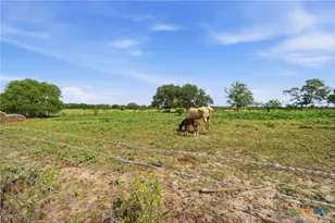1883 Turkey Bottom Rd, Yoakum, TX 77984 - Photo 18