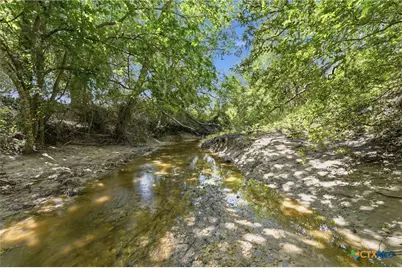 1883 Turkey Bottom Road, Yoakum, TX 77984 - Photo 8