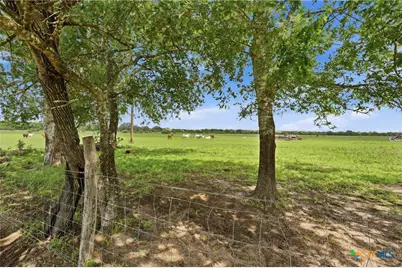 1883 Turkey Bottom Road, Yoakum, TX 77984 - Photo 34