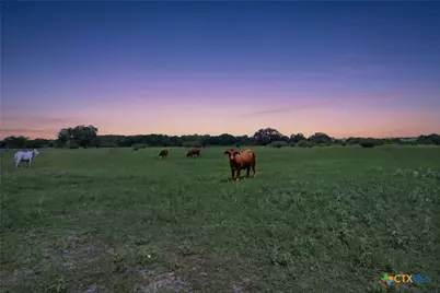 1883 Turkey Bottom Road, Yoakum, TX 77984 - Photo 2