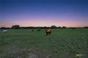 1883 Turkey Bottom Rd, Yoakum, TX 77984 - Photo 2