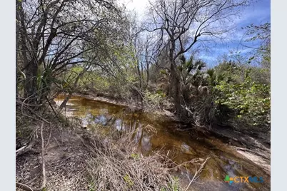 271 W Fm 884, Goliad, TX 77963 - Photo 6