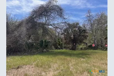 271 W Fm 884, Goliad, TX 77963 - Photo 1