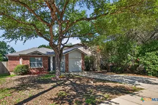 374 Copper Mountain, New Braunfels, TX 78130 - Photo 2