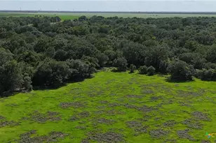 10772 State Hwy 111, Edna, TX 77957 - Photo 16
