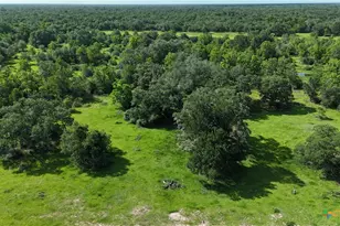 10772 State Hwy 111, Edna, TX 77957 - Photo 26