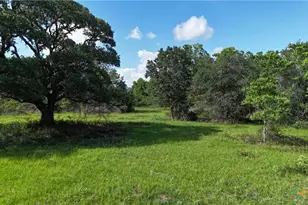 10772 State Hwy 111, Edna, TX 77957 - Photo 2