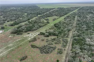 10772 State Hwy 111, Edna, TX 77957 - Photo 30