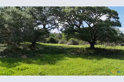 10772 State Highway 111, Edna, TX 77957 - Photo 8