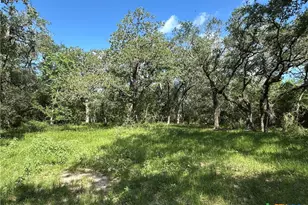 10772 State Hwy 111, Edna, TX 77957 - Photo 32