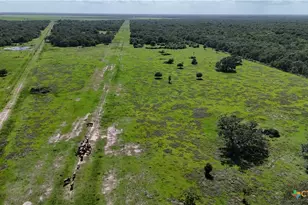 10772 State Hwy 111, Edna, TX 77957 - Photo 10