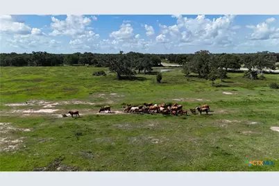 10772 State Highway 111, Edna, TX 77957 - Photo 6