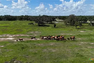 10772 State Hwy 111, Edna, TX 77957 - Photo 6
