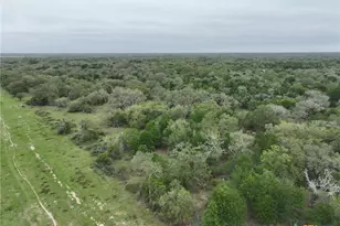 10772 State Hwy 111, Edna, TX 77957 - Photo 20