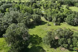 10772 State Hwy 111, Edna, TX 77957 - Photo 22